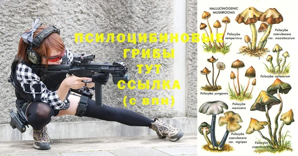 соль ск Навашино