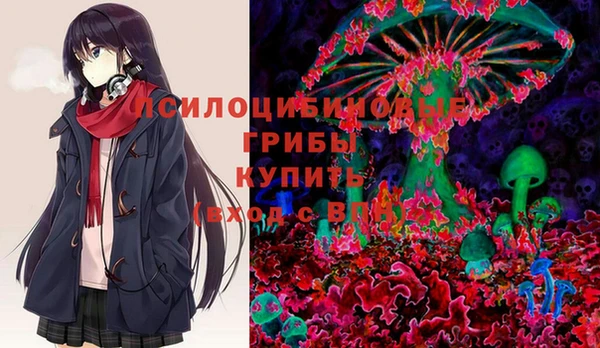 соль ск Навашино