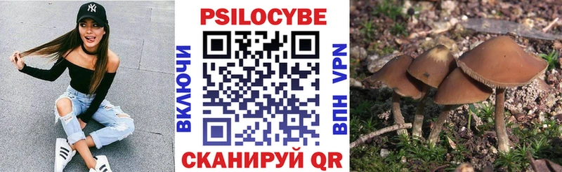 дарнет шоп  Нефтегорск  Псилоцибиновые грибы ЛСД 